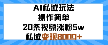 AI私域玩法，操作简单，20条视频涨粉5w，私域变现8k+网赚项目-副业赚钱-互联网创业-资源整合情久网创