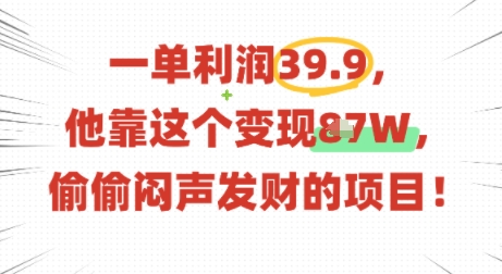 一单利润39.9，有人靠这个变现几十个，偷偷闷声发财的项目网赚项目-副业赚钱-互联网创业-资源整合情久网创