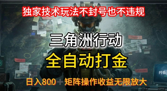 三角洲板砖揭秘项目免费送卡密网赚项目-副业赚钱-互联网创业-资源整合情久网创