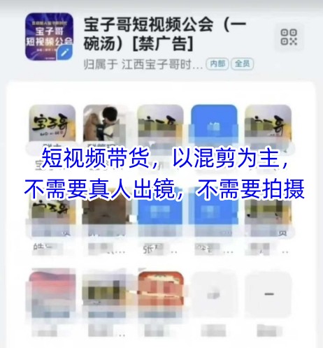 宝子哥头部团队短视频带货，以混剪为主，不需要真人出镜，不需要拍摄【更新9月】网赚项目-副业赚钱-互联网创业-资源整合情久网创