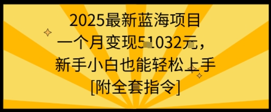 2025最新蓝海项目一个月变现1w+新手小白也能轻松上手【附全套指令】网赚项目-副业赚钱-互联网创业-资源整合情久网创
