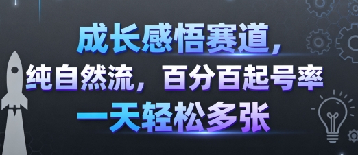 成长感悟赛道，纯自然流，百分百起号率 一天轻松多张网赚项目-副业赚钱-互联网创业-资源整合情久网创