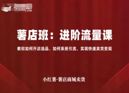 小红薯薯店商城卖货，进阶流量课，教你如何开店选品、如何系统引流，实现快速卖货变现网赚项目-副业赚钱-互联网创业-资源整合情久网创